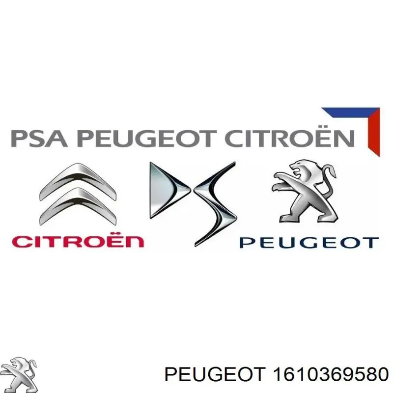 Tornillo de fijación del inyector 1610369580 Peugeot/Citroen