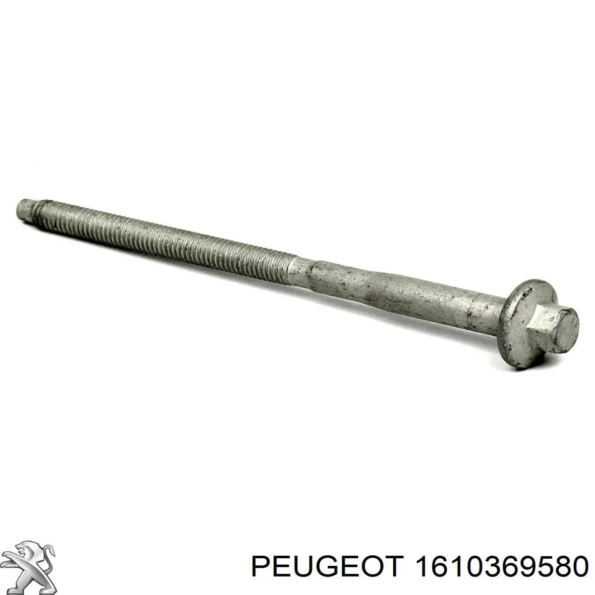 1610369580 Peugeot/Citroen tornillo, soporte inyector