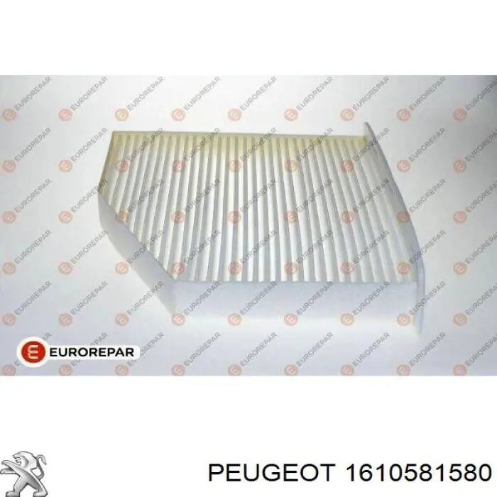 1610581580 Peugeot/Citroen Filtro antipolen