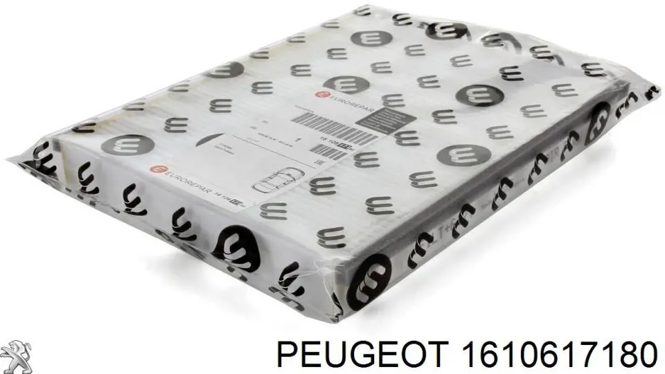 1610617180 Peugeot/Citroen