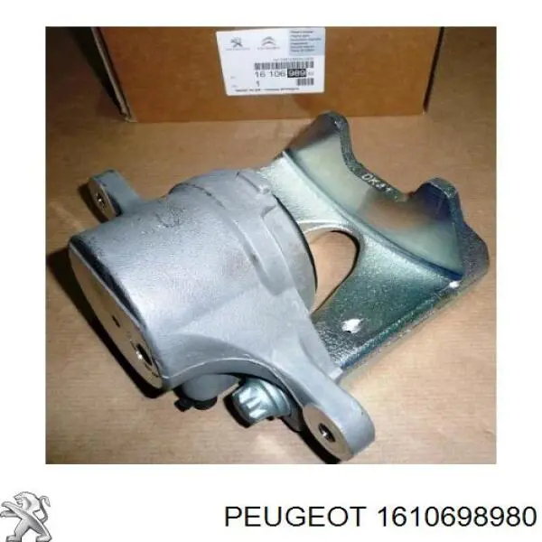 1610698980 Peugeot/Citroen