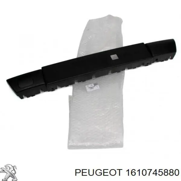 1610745880 Peugeot/Citroen Moldura de la rejilla del radiador
