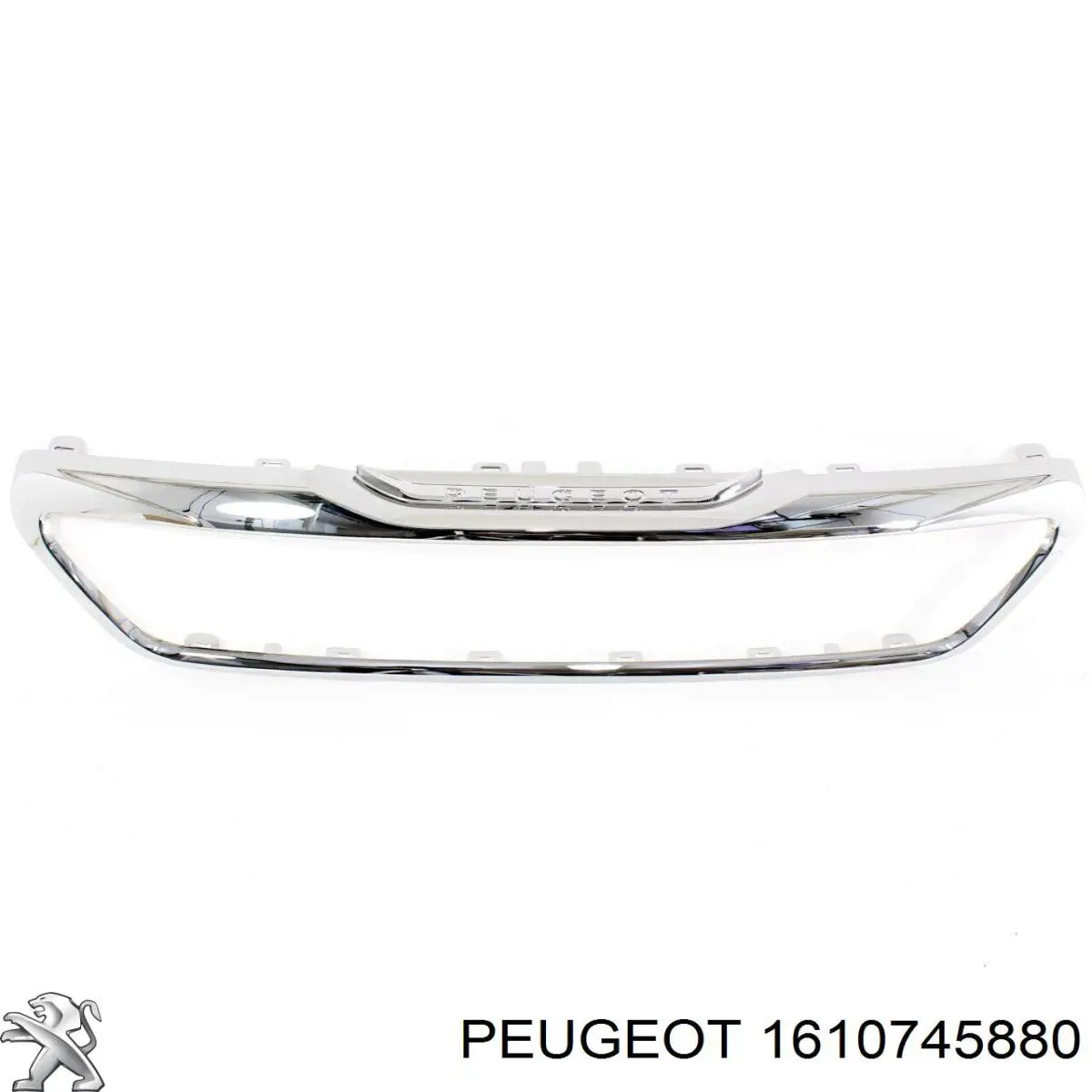 1610745880 Peugeot/Citroen