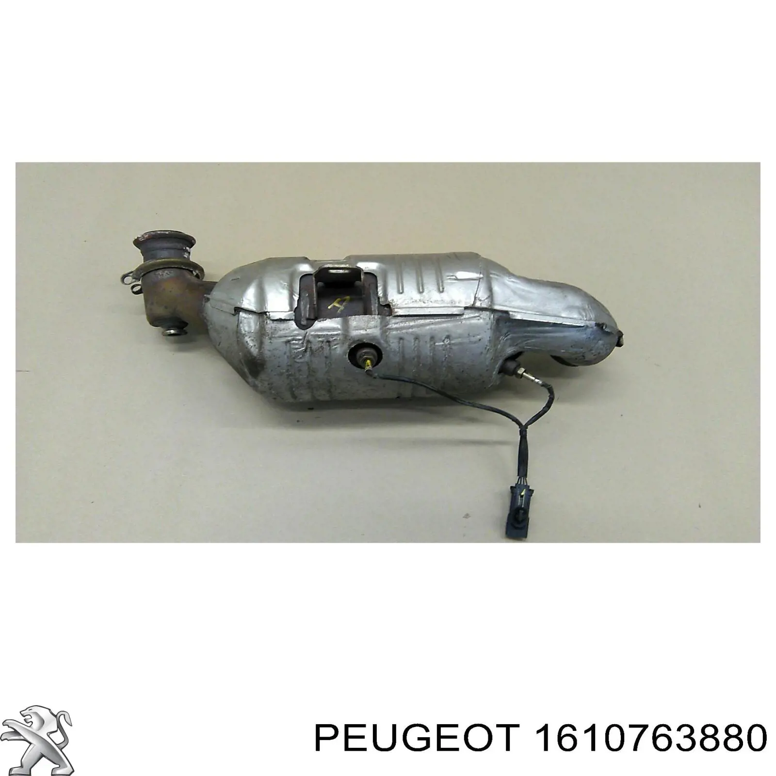 Moldura de la rejilla del radiador Prasco PG4282216 precio, desde 91,69 EUR