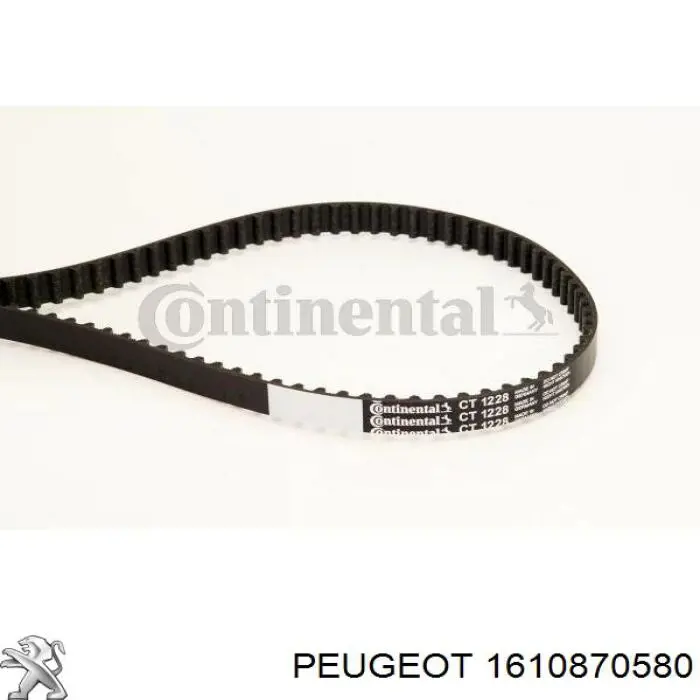 Correa de distribución Peugeot/Citroen 1610870580 precio, desde 55,98 EUR
