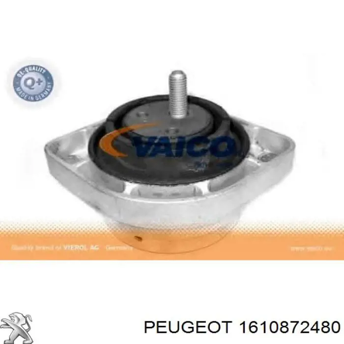 1610872480 Peugeot/Citroen kit de correa de distribución