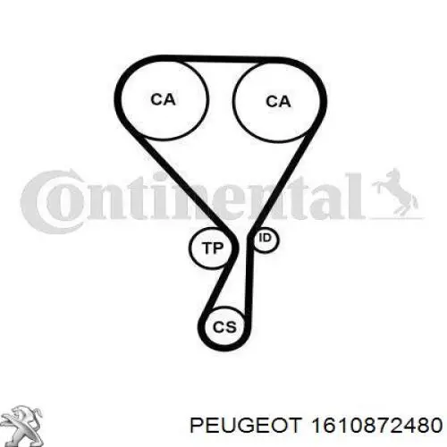 Juego de correas dentadas Peugeot/Citroen 1610872480 precio, desde 79,75 EUR