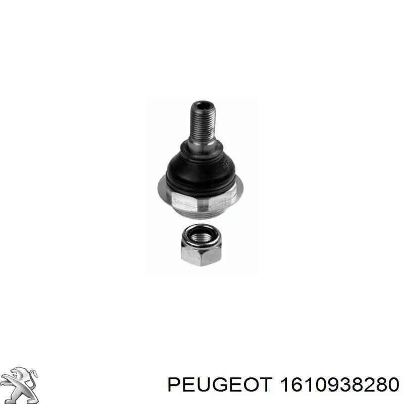 Rótula inferior de suspensión Peugeot/Citroen 1610938280 precio, desde 14,97 EUR
