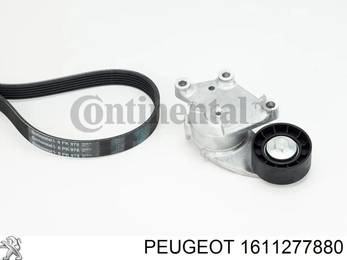 Correa de transmisión, completo VAG 1611277880 precio, desde 74,35 EUR