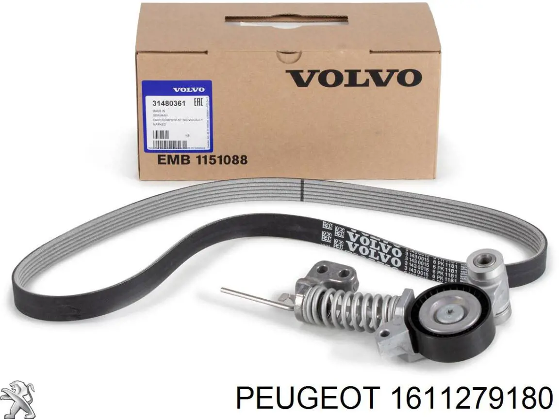 1611279180 Peugeot/Citroen Correa de transmisión, completo