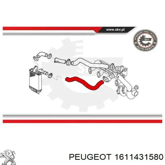 1611431580 Peugeot/Citroen tubo flexible de aire de sobrealimentación superior izquierdo