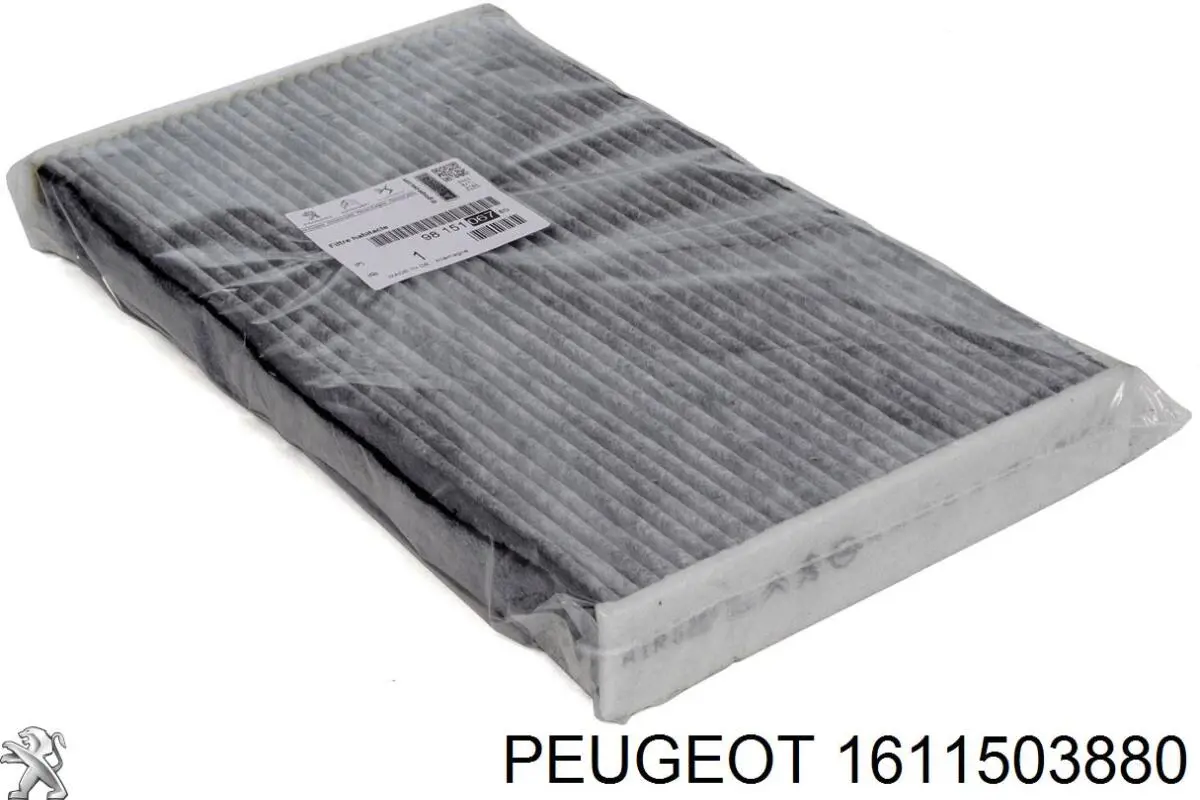 1611503880 Peugeot/Citroen Correa de transmisión