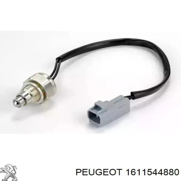 1611544880 Peugeot/Citroen