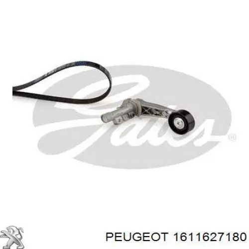 1611627180 Peugeot/Citroen Correa de transmisión, completo