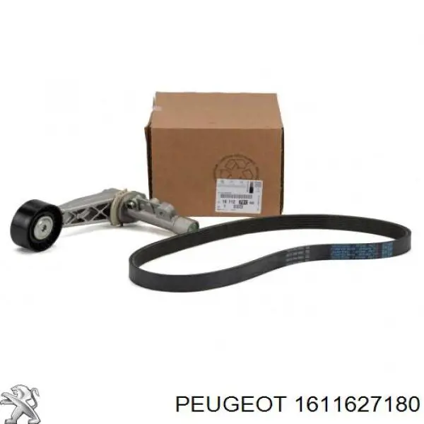 Correa de transmisión, juego Peugeot/Citroen 1611627180 precio, desde 66,36 EUR