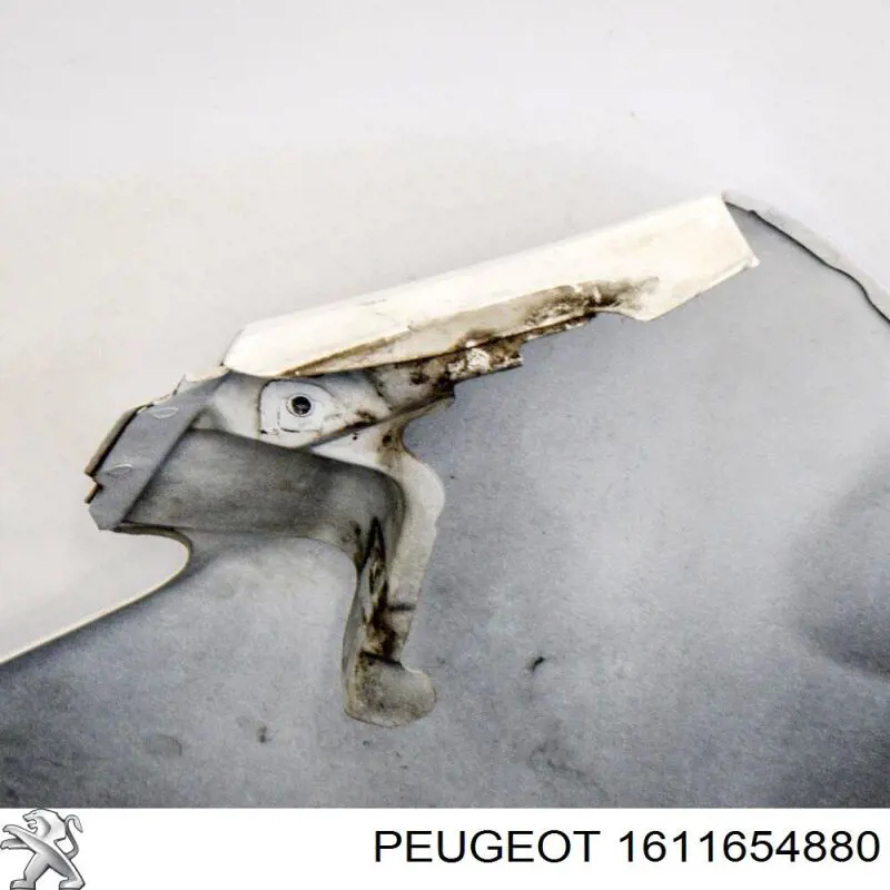 1611654880 Peugeot/Citroen Aleta delantera