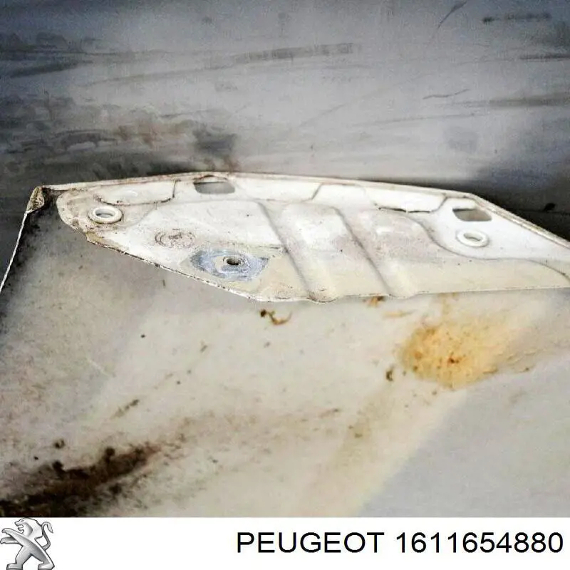 Guardabarros delanteros derecho Peugeot/Citroen 1611654880 precio, desde 122,63 EUR