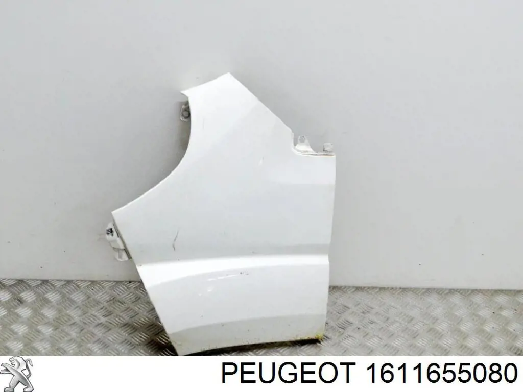 1611655080 Peugeot/Citroen Aleta delantera izquierda