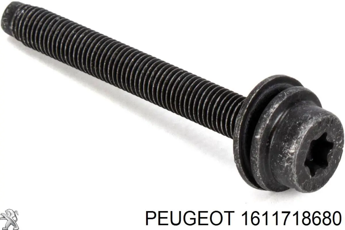 PEUGEOT 1611718680 kit de reparación, inyector