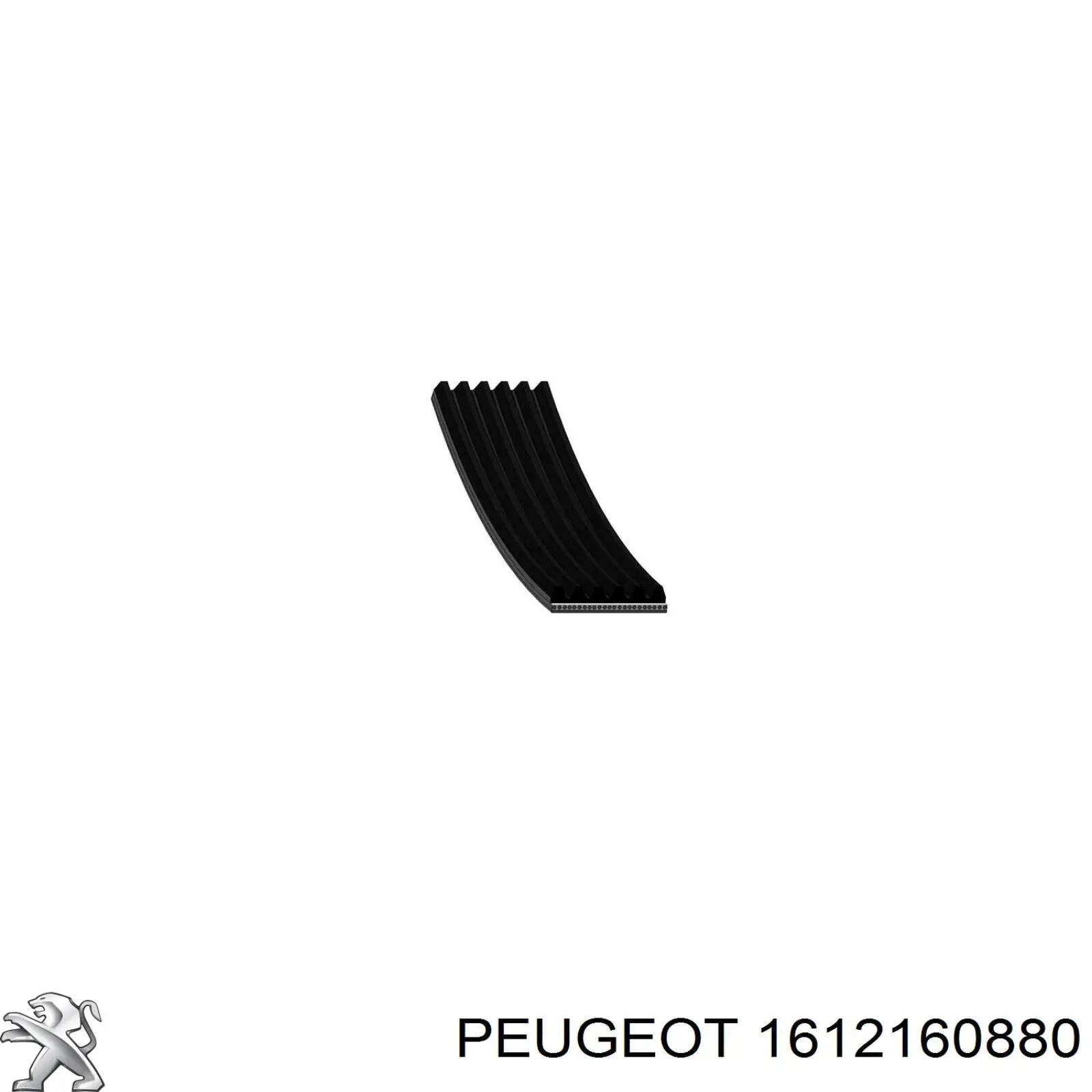 1612160880 Peugeot/Citroen correa trapezoidal