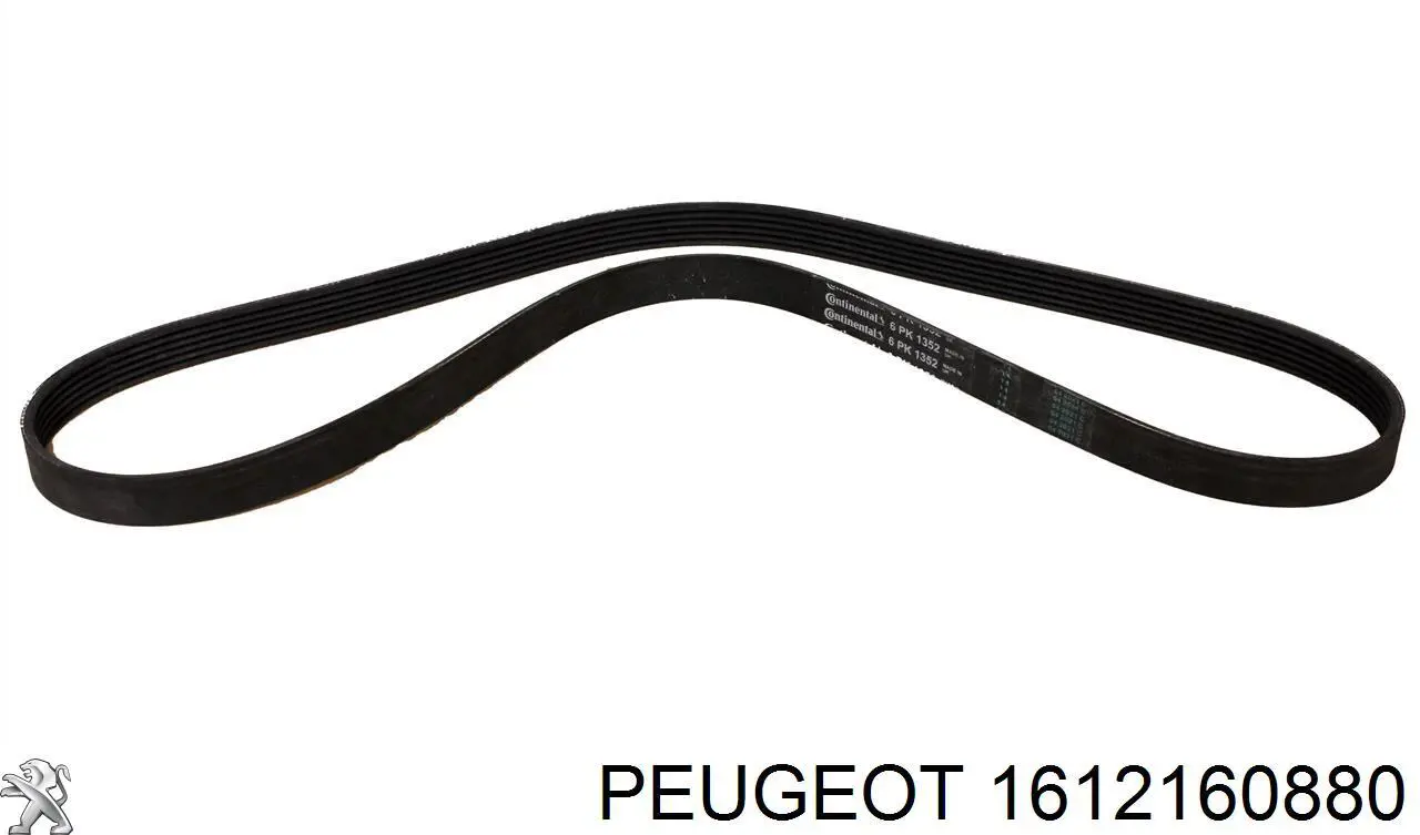 Comprar 1612160880 Peugeot/Citroen Correa trapezoidal