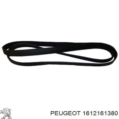 1612161380 Peugeot/Citroen correa trapezoidal