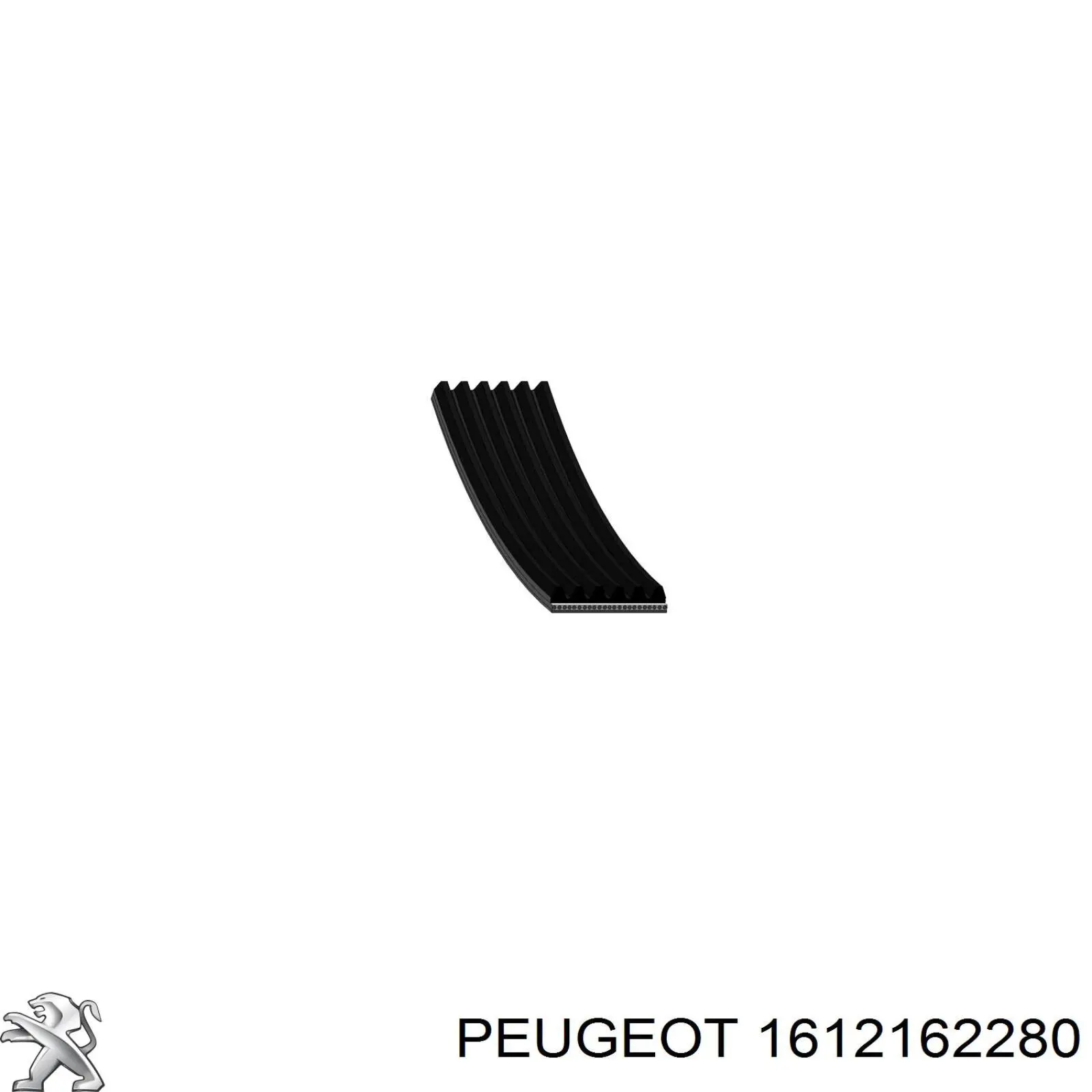 1612162280 Peugeot/Citroen correa trapezoidal