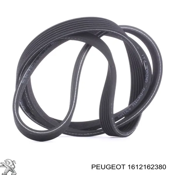 Correa de alternador 1612162380 Peugeot/Citroen