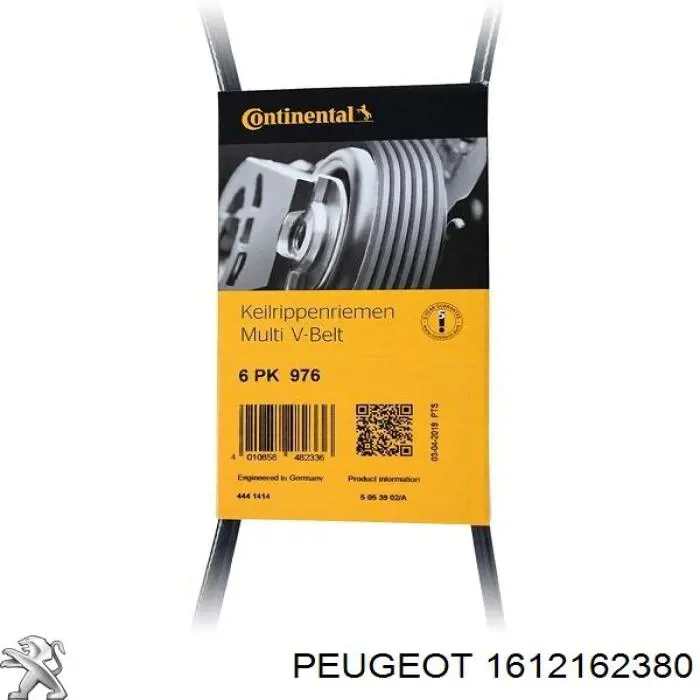 Correa de transmisión trapezoidal Peugeot/Citroen 1612162380 precio, desde 16,06 EUR