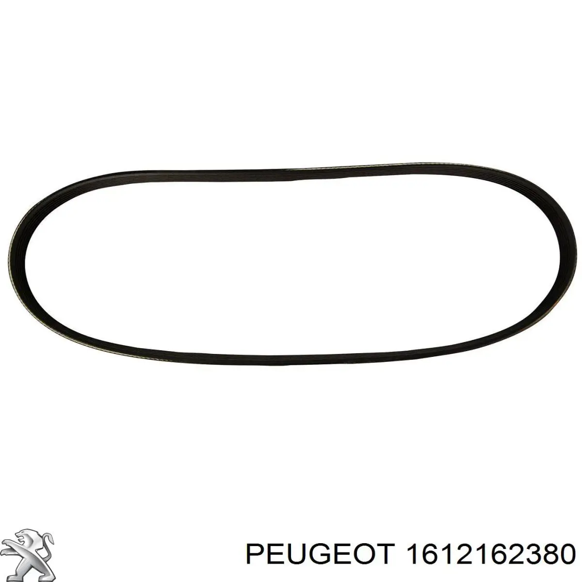 Comprar 1612162380 Peugeot/Citroen Correa trapezoidal