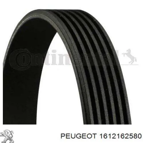 Correa de transmisión trapezoidal Peugeot/Citroen 1612162580 precio, desde 7,19 EUR