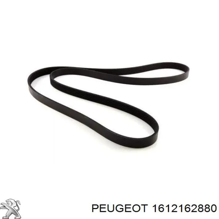 Correa de transmisión trapezoidal Peugeot/Citroen 1612162880 precio, desde 19,44 EUR