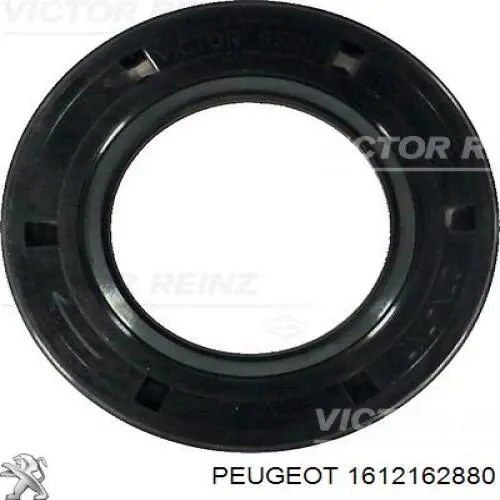 Correa de alternador 1612162880 Peugeot/Citroen