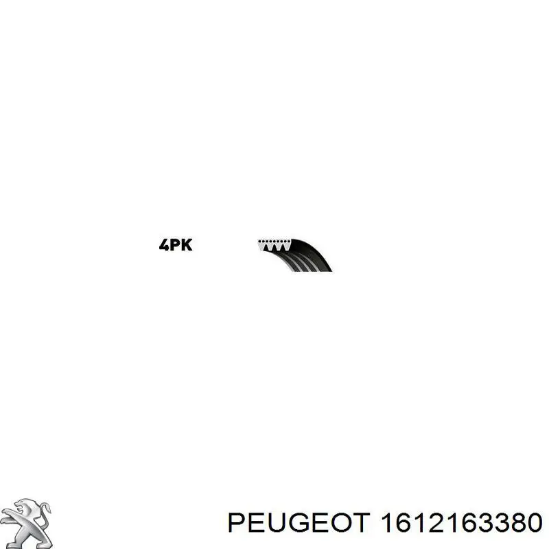 1612163380 Peugeot/Citroen Correa poly v