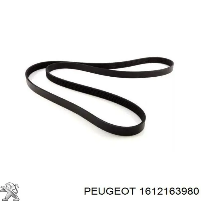 Correa de transmisión trapezoidal Peugeot/Citroen 1612163980 precio, desde 15,08 EUR