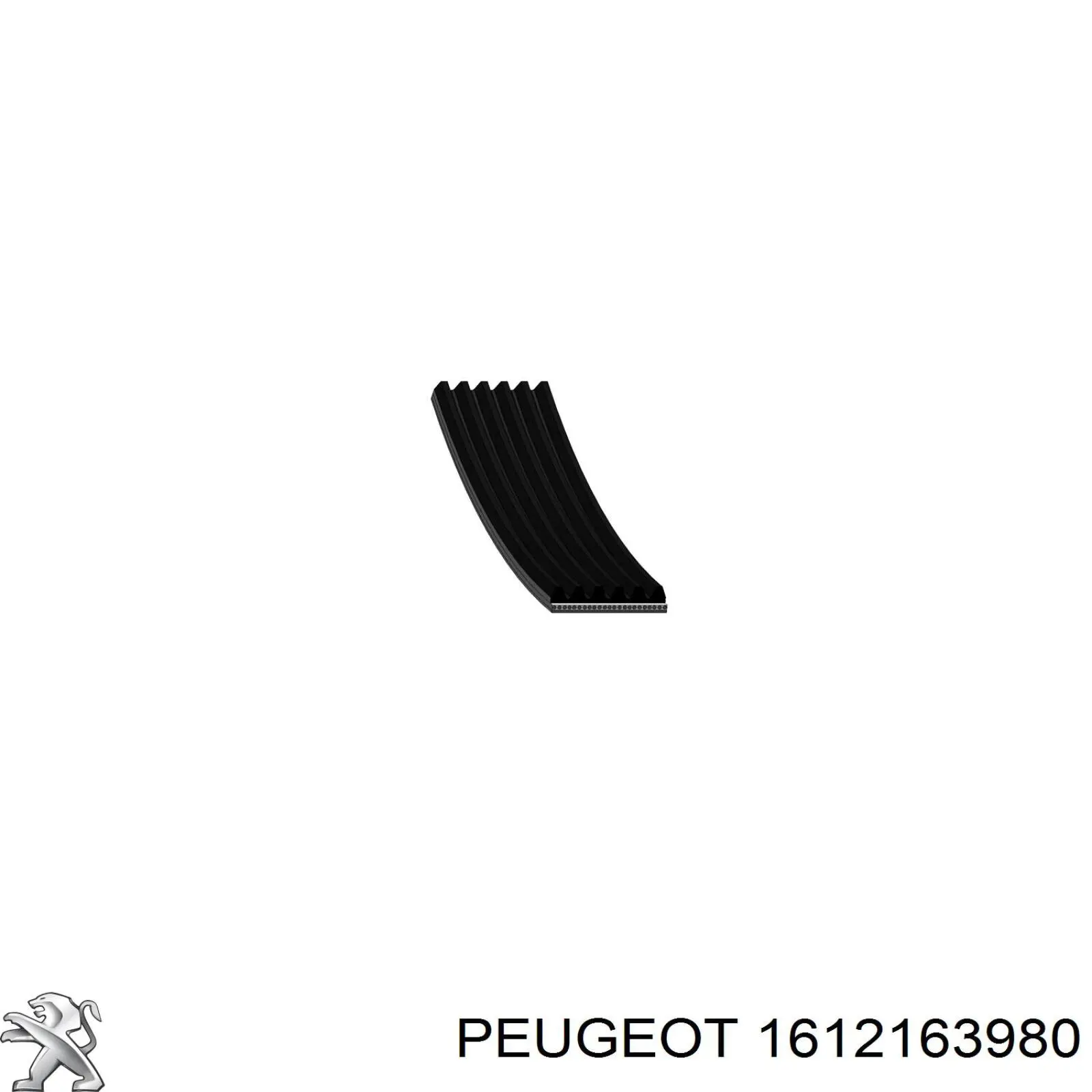 Correa de alternador 1612163980 Peugeot/Citroen