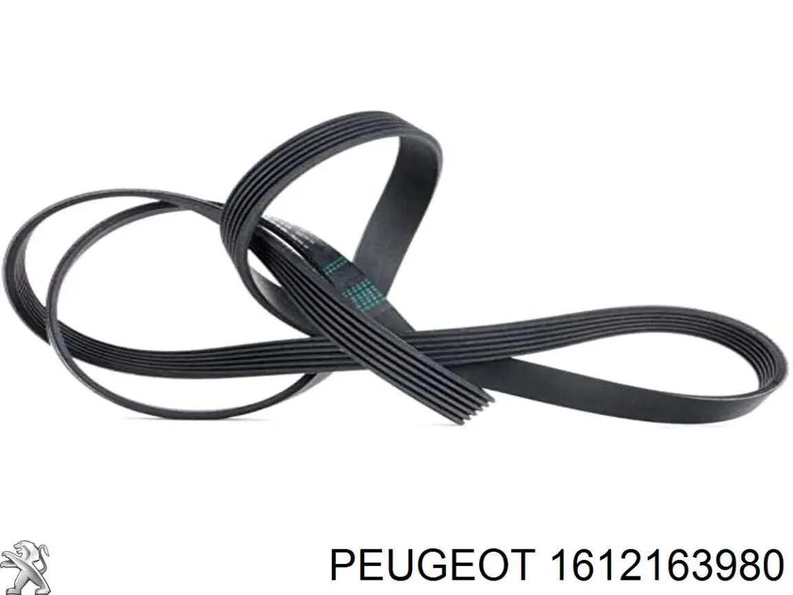 1612163980 Peugeot/Citroen Correa poly v
