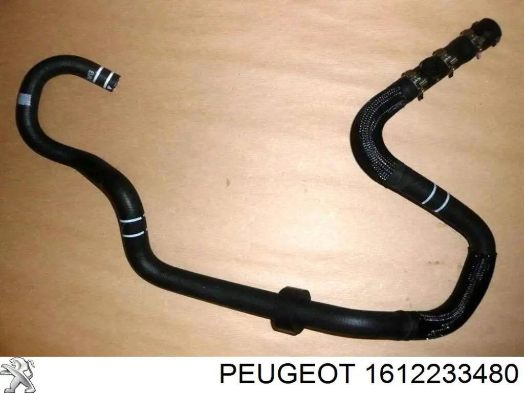 1612233480 Peugeot/Citroen