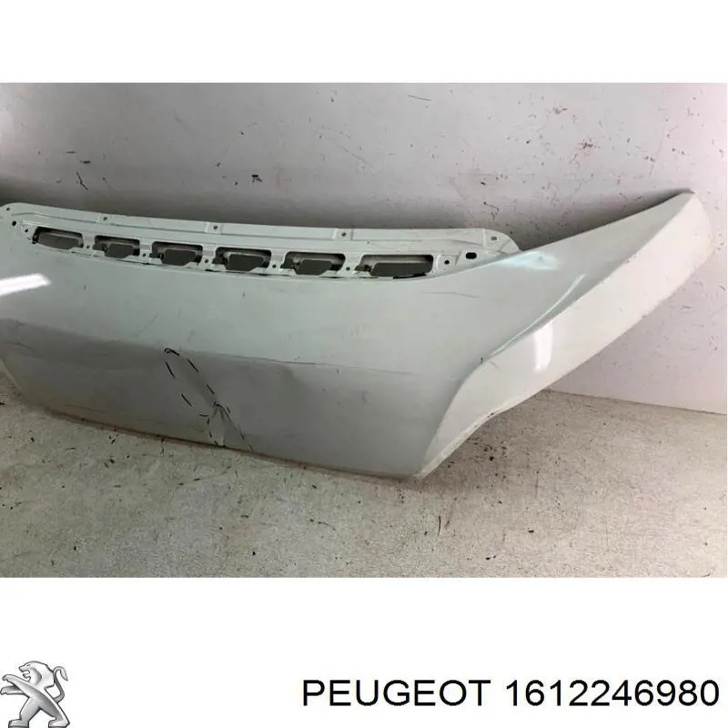Comprar 1612246980 Peugeot/Citroen Capó