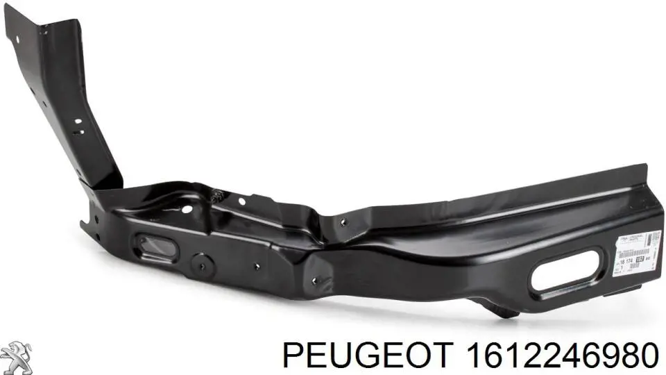 Capó 1612246980 Peugeot/Citroen