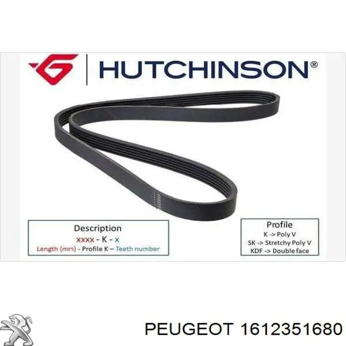 1612351680 Peugeot/Citroen Correa poly v