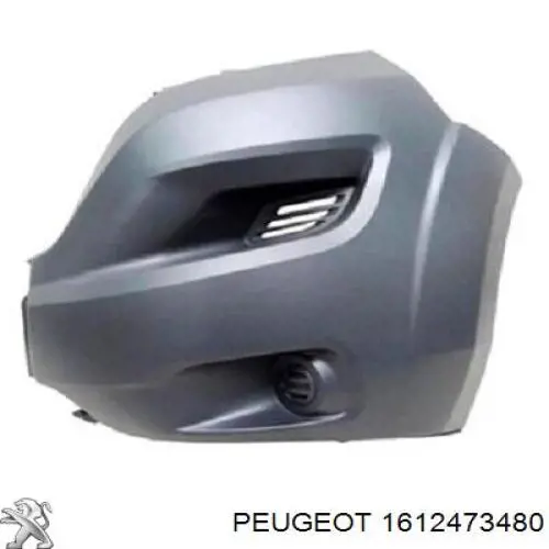 1612473480 Peugeot/Citroen Parachoques delantero, parte izquierda