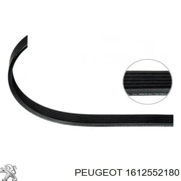 1612552180 Peugeot/Citroen correa trapezoidal