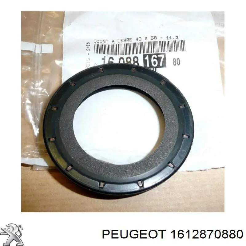 Deposito de limpiaparabrisas Citroen Jumper furgoneta (250) (2006 - 2026) precio, desde 7,41 EUR