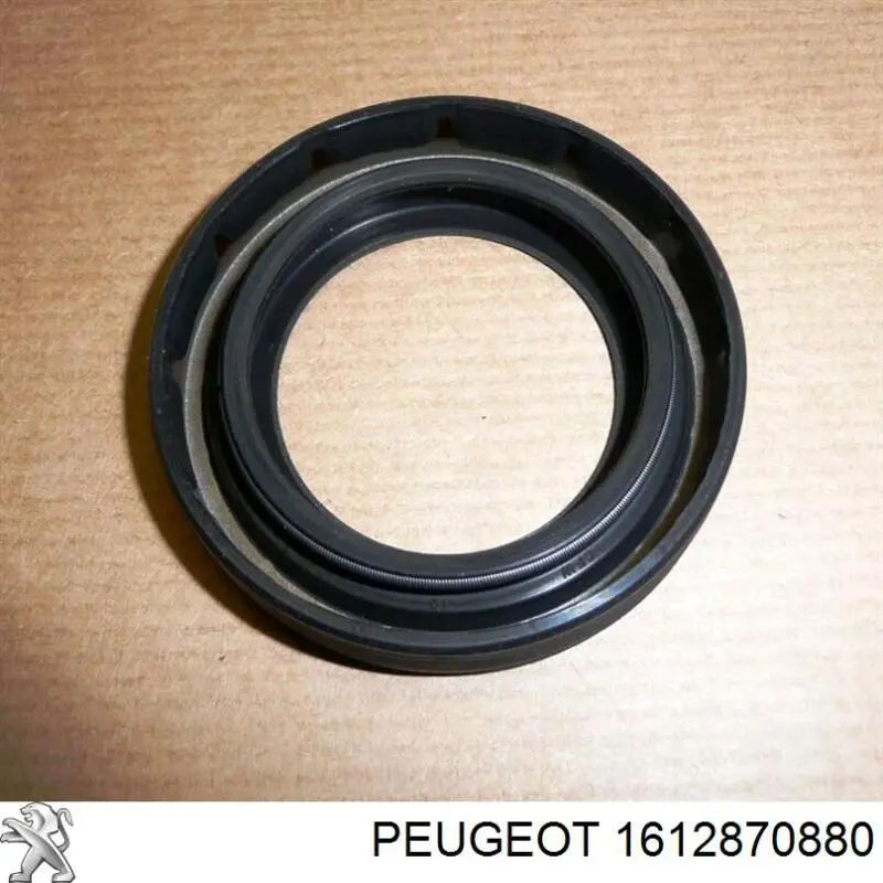 Botella limpiaparabrisas para Citroen Jumper  250