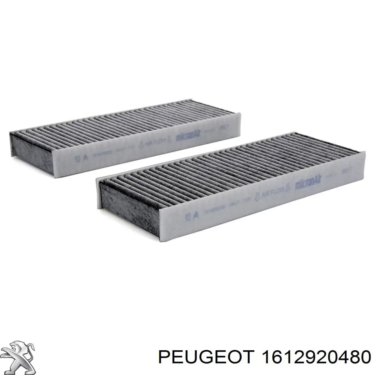 1612920480 Peugeot/Citroen Filtro antipolen