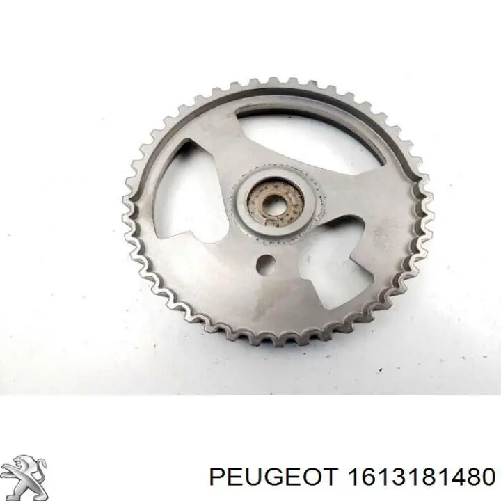 Piñón del árbol de levas 1613181480 Peugeot/Citroen