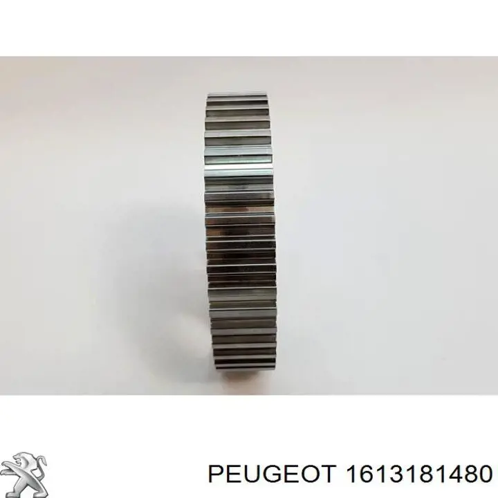 Piñón cadena distribución Peugeot 208 CA, CC