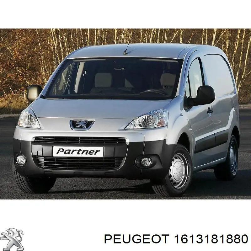  1613181880 Peugeot/Citroen