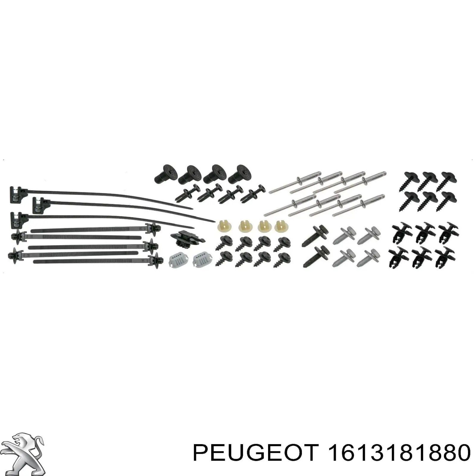 1613181880 Peugeot/Citroen